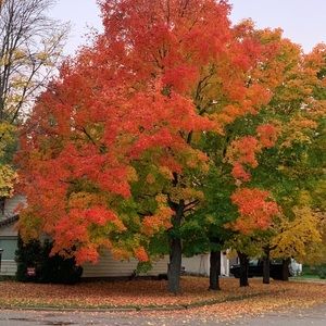 Meet your Posher, Mandy